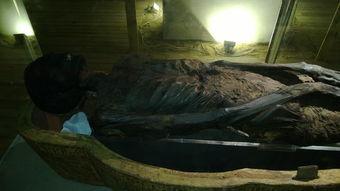 木乃伊手机在线观看,揭秘木乃伊手机神秘之旅